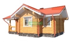 Проект бани Затея